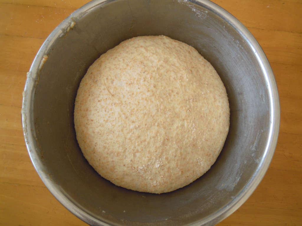 全粒粉100％ロールパン　二次発酵後